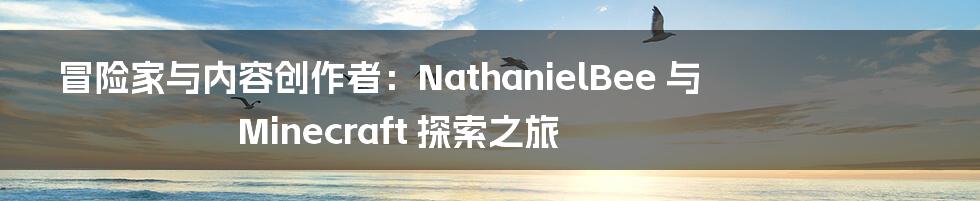 冒险家与内容创作者：NathanielBee 与 Minecraft 探索之旅