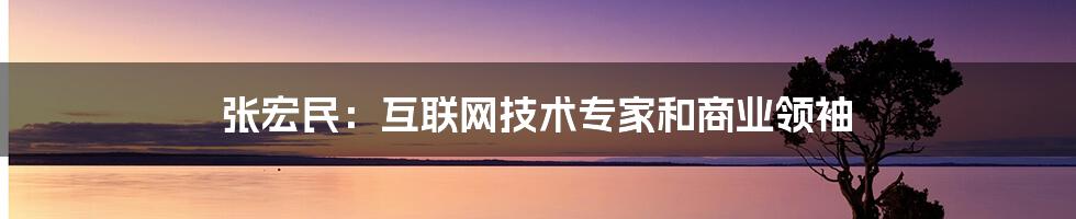 张宏民：互联网技术专家和商业领袖