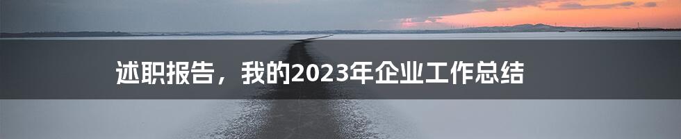 述职报告，我的2023年企业工作总结