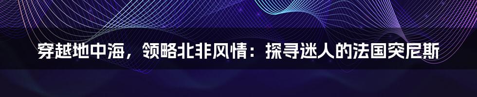 穿越地中海，领略北非风情：探寻迷人的法国突尼斯