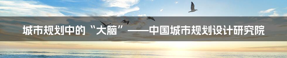 城市规划中的“大脑”——中国城市规划设计研究院