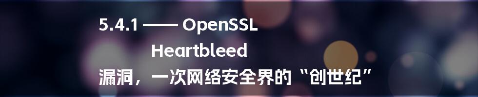 5.4.1 —— OpenSSL Heartbleed 漏洞，一次网络安全界的“创世纪”