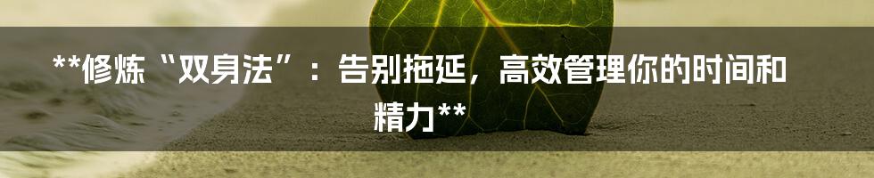 **修炼“双身法”：告别拖延，高效管理你的时间和精力**