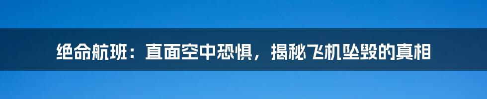 绝命航班：直面空中恐惧，揭秘飞机坠毁的真相