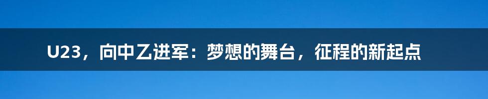 U23，向中乙进军：梦想的舞台，征程的新起点