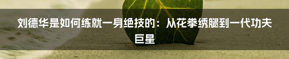 刘德华是如何练就一身绝技的：从花拳绣腿到一代功夫巨星