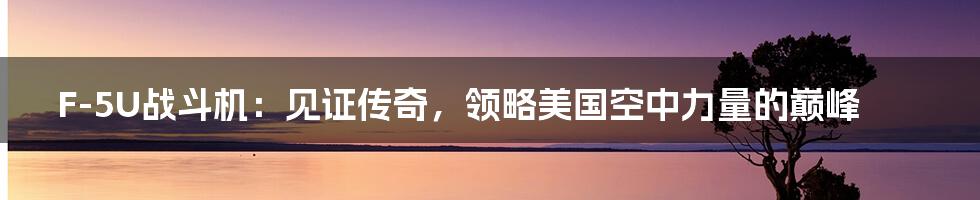 F-5U战斗机：见证传奇，领略美国空中力量的巅峰