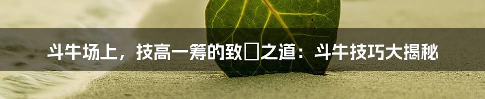 斗牛场上，技高一筹的致勝之道：斗牛技巧大揭秘