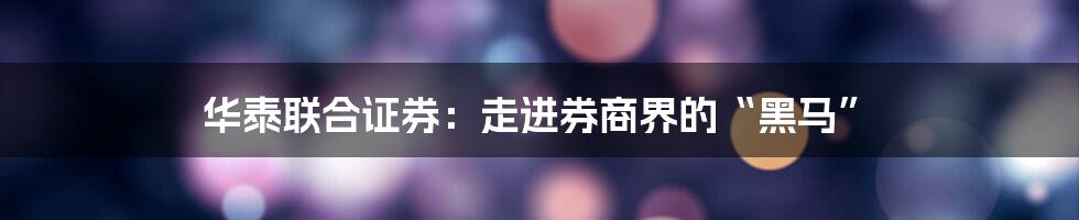 华泰联合证券：走进券商界的“黑马”