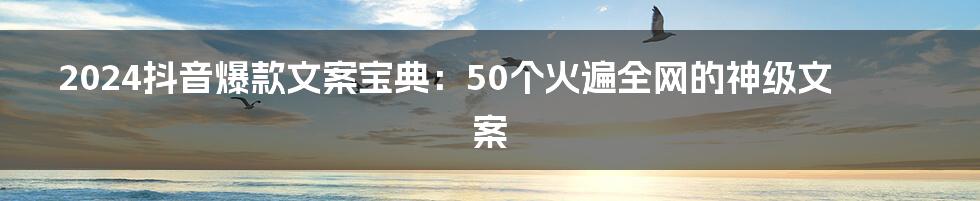 2024抖音爆款文案宝典：50个火遍全网的神级文案