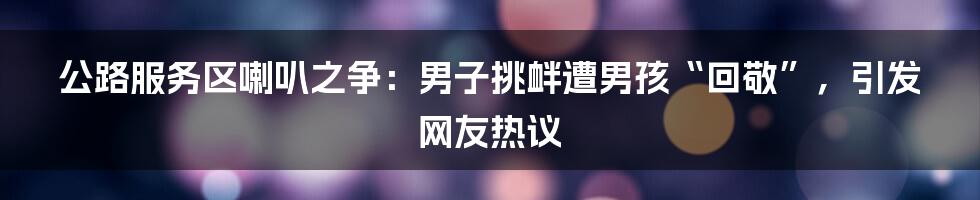 公路服务区喇叭之争：男子挑衅遭男孩“回敬”，引发网友热议