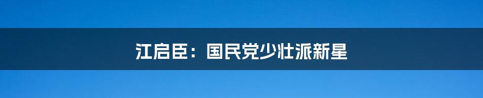 江启臣：国民党少壮派新星