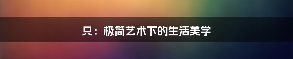 只：极简艺术下的生活美学