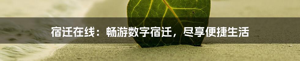 宿迁在线：畅游数字宿迁，尽享便捷生活