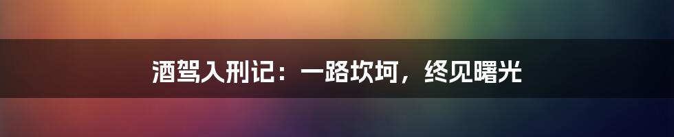 酒驾入刑记：一路坎坷，终见曙光