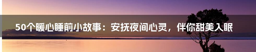 50个暖心睡前小故事：安抚夜间心灵，伴你甜美入眠