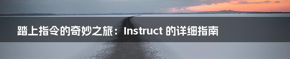 踏上指令的奇妙之旅：Instruct 的详细指南