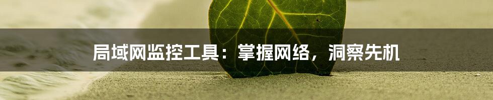 局域网监控工具：掌握网络，洞察先机