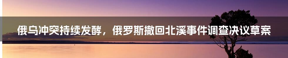 俄乌冲突持续发酵，俄罗斯撤回北溪事件调查决议草案