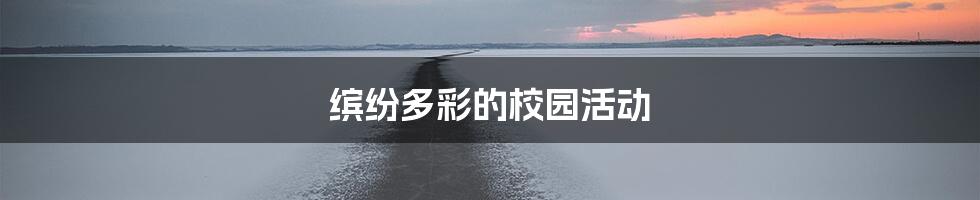 缤纷多彩的校园活动