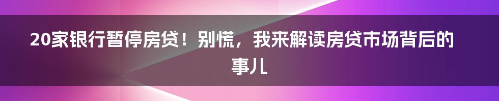 20家银行暂停房贷！别慌，我来解读房贷市场背后的事儿