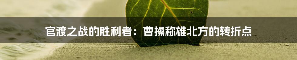 官渡之战的胜利者：曹操称雄北方的转折点