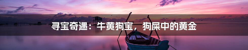 寻宝奇遇：牛黄狗宝，狗屎中的黄金