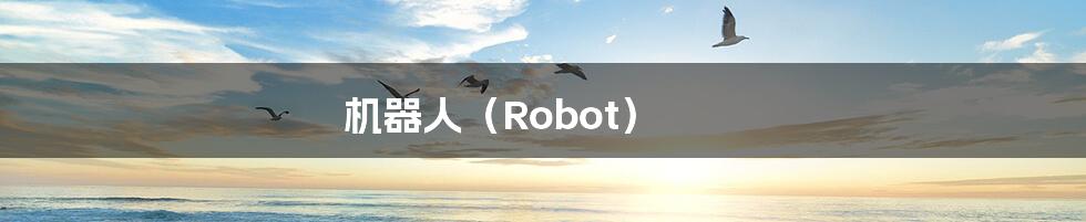 机器人（Robot）