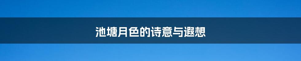 池塘月色的诗意与遐想