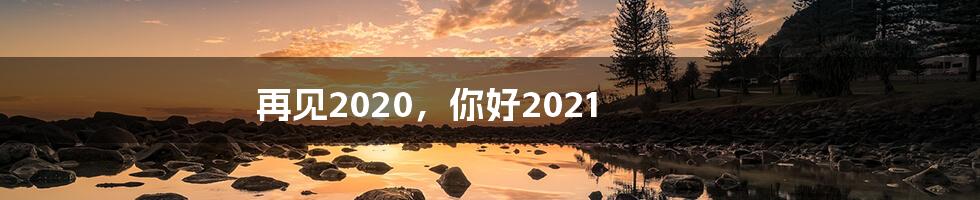 再见2020，你好2021