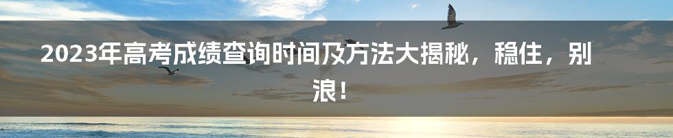 2023年高考成绩查询时间及方法大揭秘，稳住，别浪！