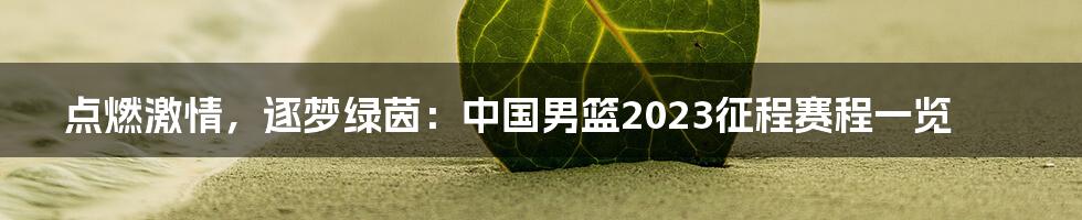 点燃激情，逐梦绿茵：中国男篮2023征程赛程一览