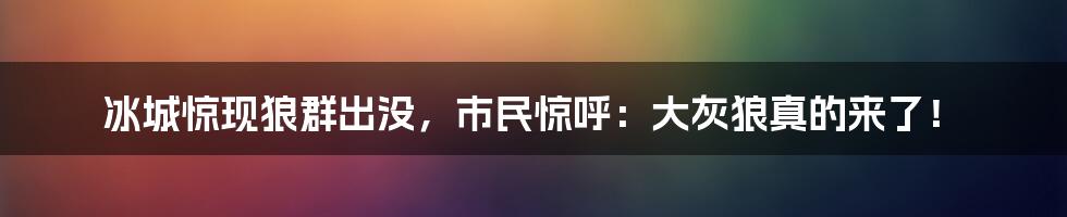 冰城惊现狼群出没，市民惊呼：大灰狼真的来了！