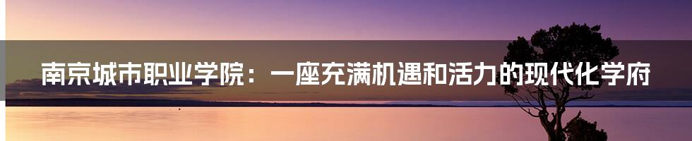 南京城市职业学院：一座充满机遇和活力的现代化学府