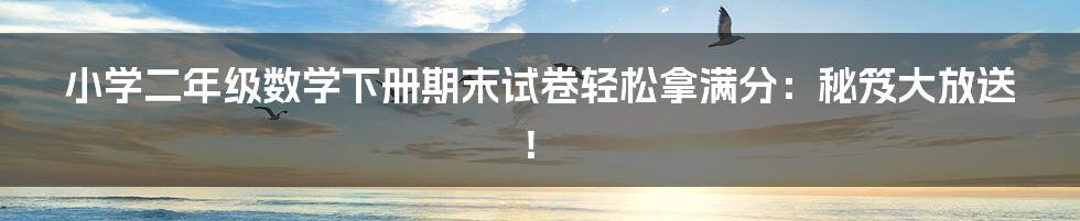 小学二年级数学下册期末试卷轻松拿满分：秘笈大放送！