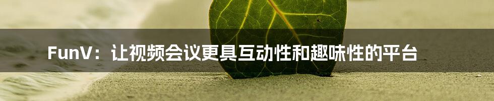 FunV：让视频会议更具互动性和趣味性的平台