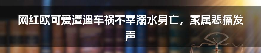 网红欧可爱遭遇车祸不幸溺水身亡，家属悲痛发声