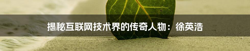 揭秘互联网技术界的传奇人物：徐英浩