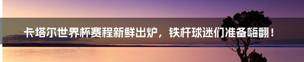 卡塔尔世界杯赛程新鲜出炉，铁杆球迷们准备嗨翻！