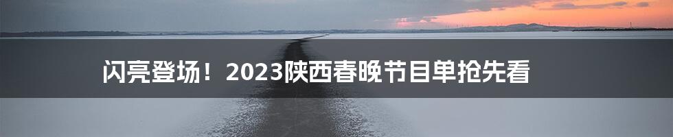 闪亮登场！2023陕西春晚节目单抢先看