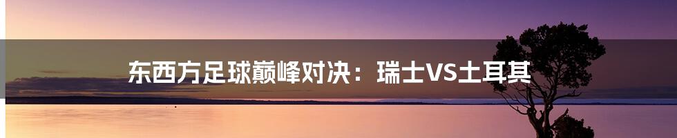 东西方足球巅峰对决：瑞士VS土耳其