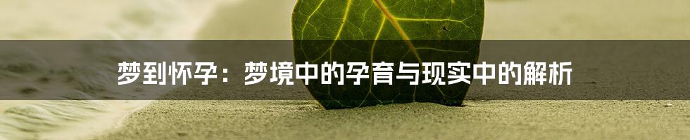 梦到怀孕：梦境中的孕育与现实中的解析