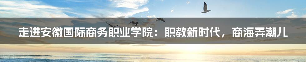 走进安徽国际商务职业学院：职教新时代，商海弄潮儿