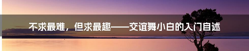 不求最难，但求最趣——交谊舞小白的入门自述