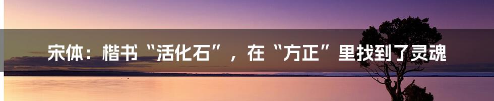 宋体：楷书“活化石”，在“方正”里找到了灵魂