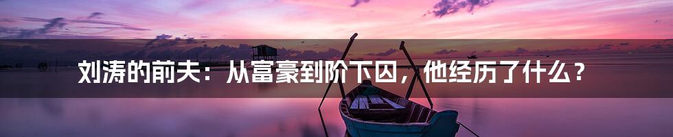 刘涛的前夫：从富豪到阶下囚，他经历了什么？