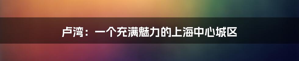 卢湾：一个充满魅力的上海中心城区