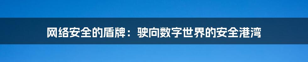 网络安全的盾牌：驶向数字世界的安全港湾