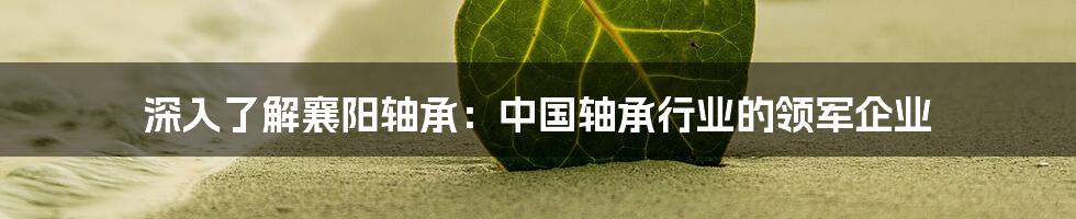 深入了解襄阳轴承：中国轴承行业的领军企业