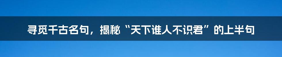 寻觅千古名句，揭秘“天下谁人不识君”的上半句